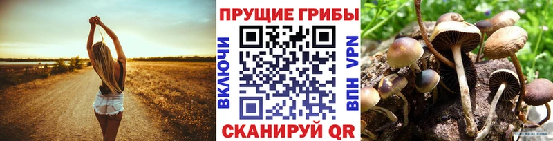 Псилоцибиновые грибы GOLDEN TEACHER  Починок 